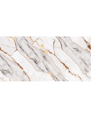 Gres porcellanato digitale Glamour 60x120|Outlet della Mattonella