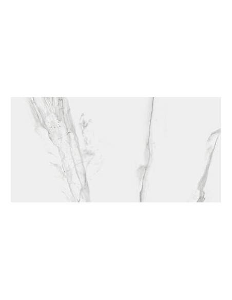 Gres porcellanato effetto marmo Carrara grey 60x120 | Rak Ceramics